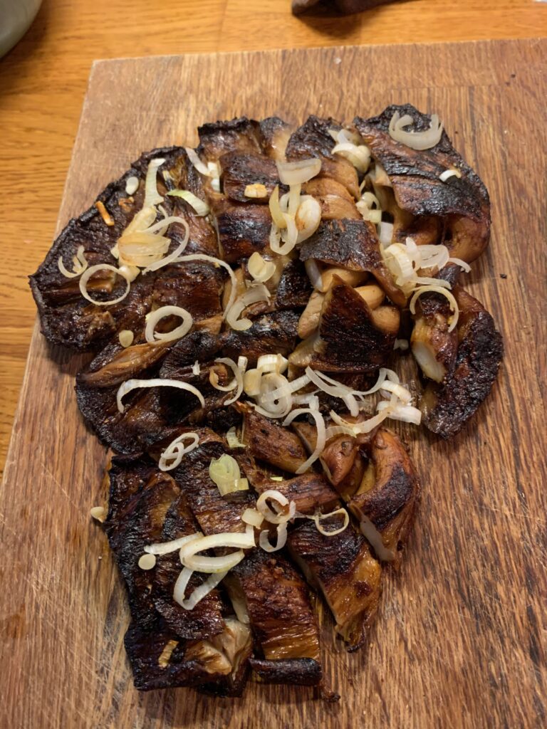 Gourmet lovers Vegan Oyster Mushroom Steak - MycoUmami